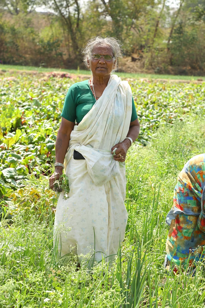 Farmer 2